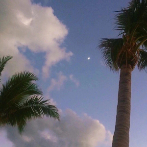 美女直播脱衣被操
