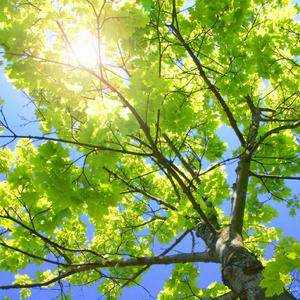 美女直播脱衣被操
