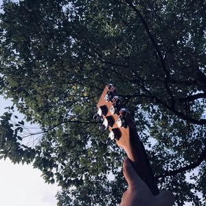 美女直播脱衣被操
